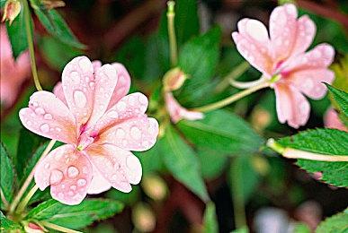 《April 24th》登陆Steam 第一人称恐怖探索